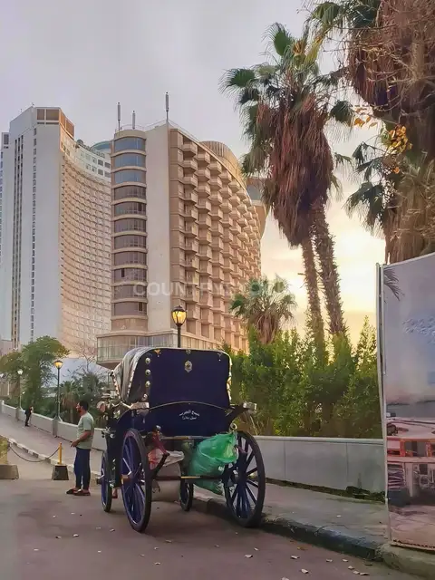 عربة حنطور تقليدية على كورنيش النيل بجاردن سيتي القاهرة