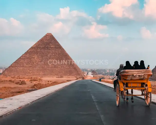 حنطور يمر أمام أهرامات الجيزة، مصر