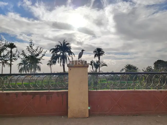 حيوانات وحياة برية