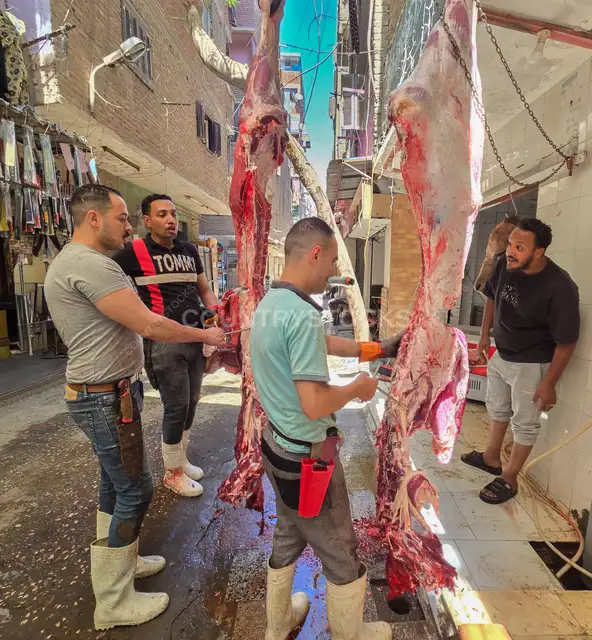 نبض الشارع: الحرفية والتقاليد في قلب المدينة