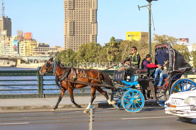 حنطور على كوبري قصر النيل – شتاء ٢٠١٧