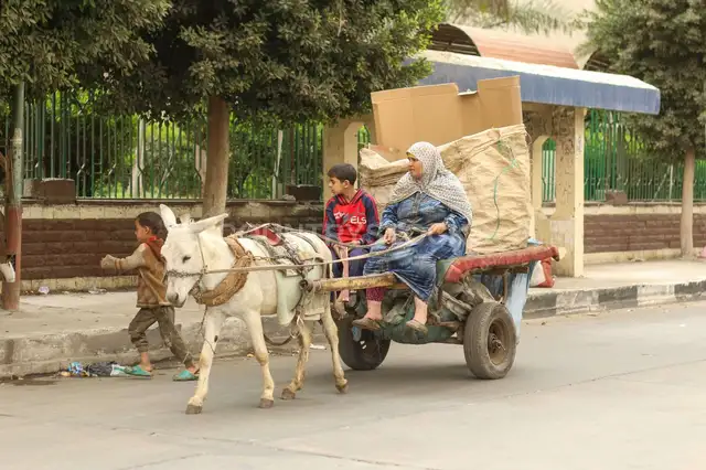 أم وابن راكبين كارو بحمار ماشي في شارع بالقاهرة