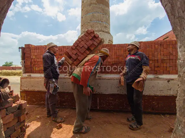 عمال مصنع الطوب يحملون الطوب في القناطر الخيرية