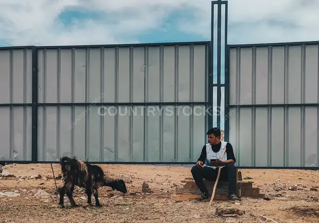 خروف صغير يقترب من راعٍ يجلس بهدوء قبل عيد الأضحى