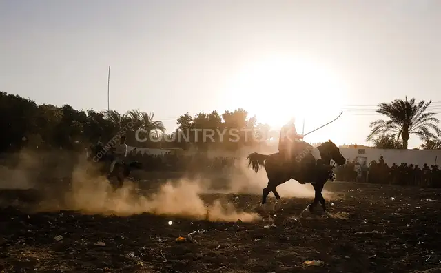 El Marmaah Horseback Heritage Festival, Qena Upper Egypt