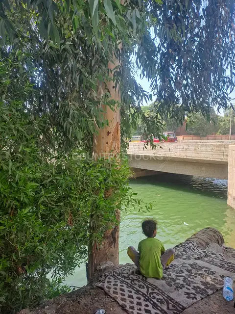 طفل يجلس على ضفة قناة مائية تحت ظل الأشجار، قنا
