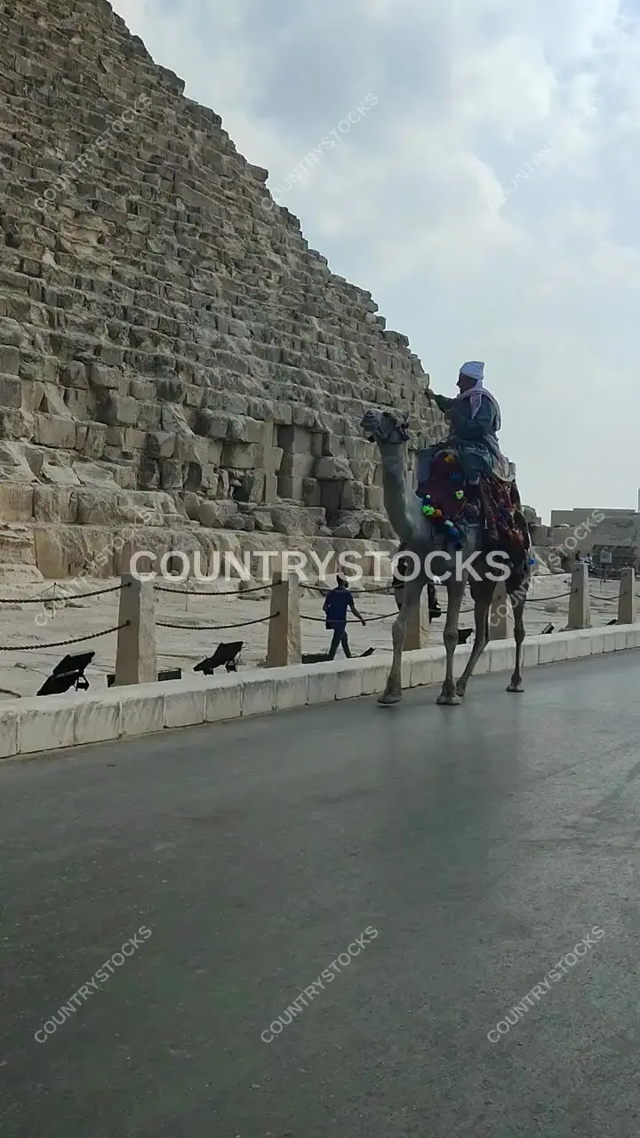 Camel Rider in Traditional Gallabiya at Great Pyramid Giza