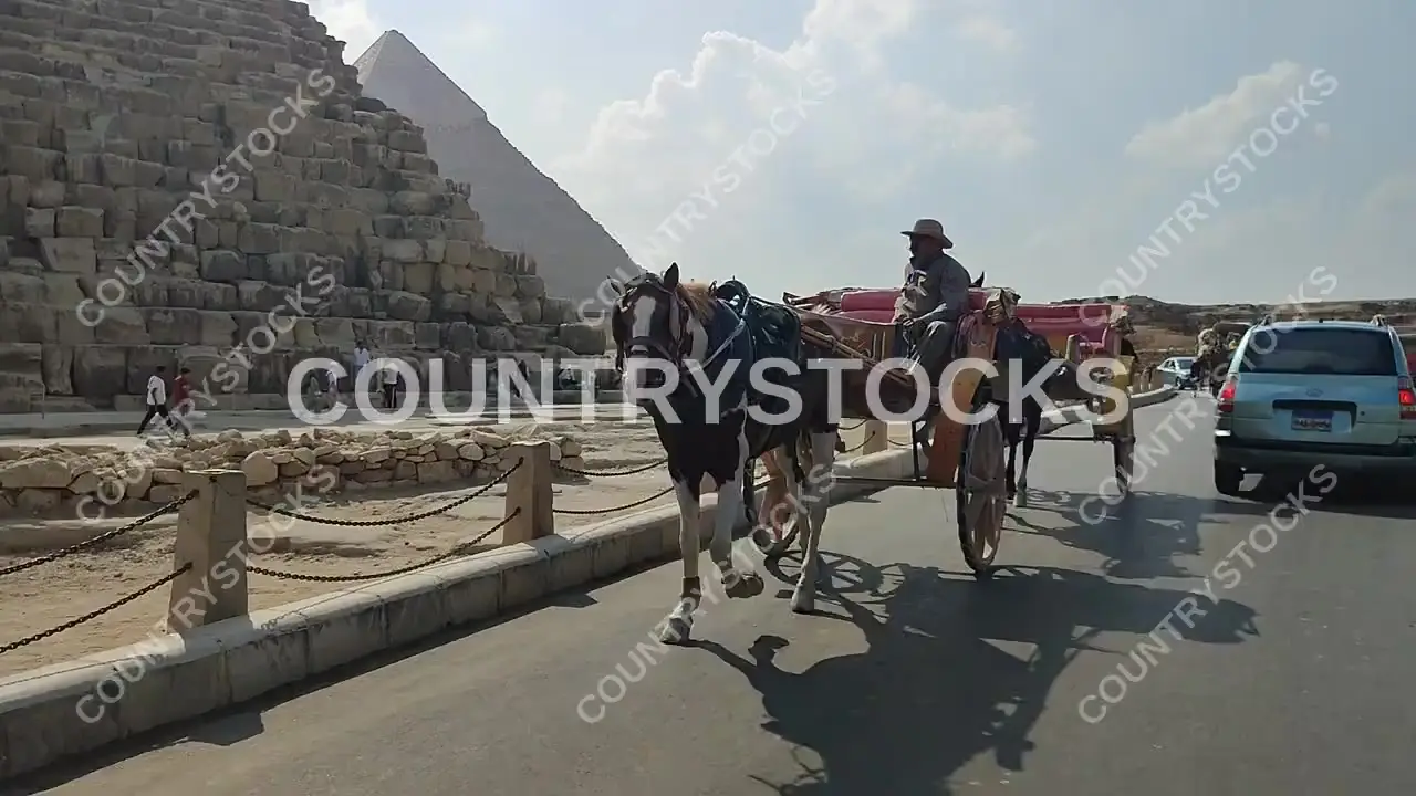 Horse Carriage (Hantour) on Giza Pyramids Tourist Road