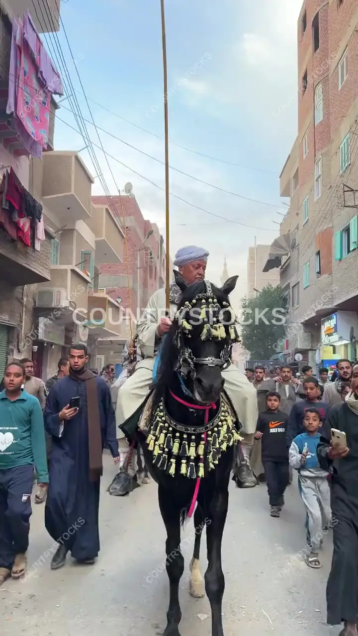 Heritage Equestrian Procession, Qena Upper Egypt