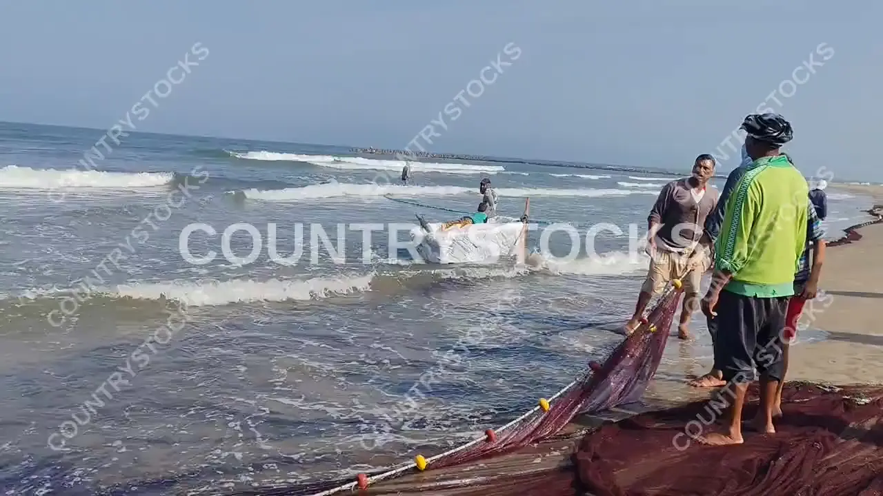 صياد يجر قاربًا تقليديًا (فلوكة) في بحيرة البرلس