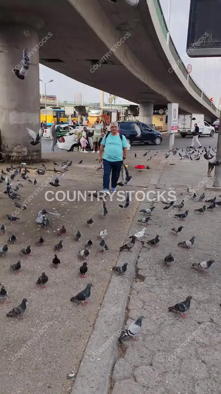 Pigeons Flock Under Cairo Overpass, Abdel Moneim Riad