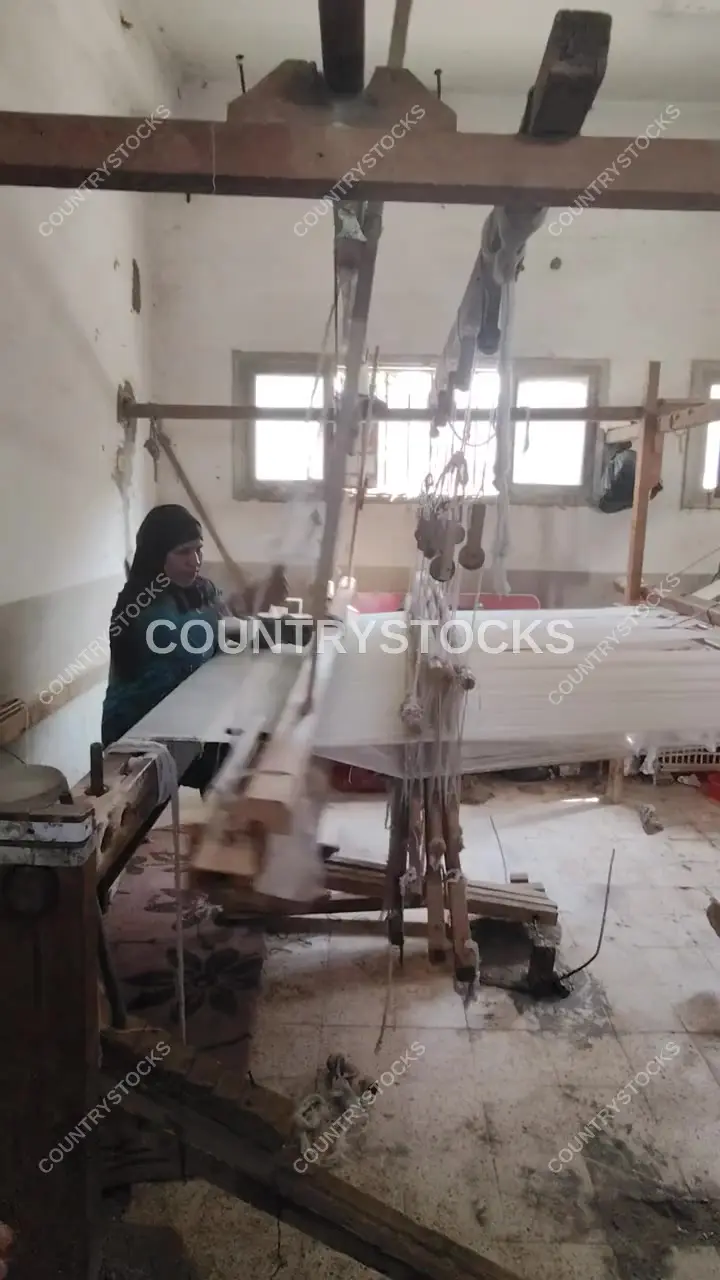  النول المصري، أخميم، سوهاج
